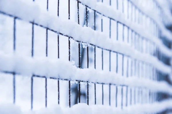 Maglia in inverno sulla natura in fondo al parco — Foto Stock