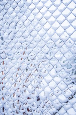 park arka planda doğada kışın örgü