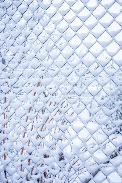 Mesh in winter on nature in park background — Stock Photo, Image