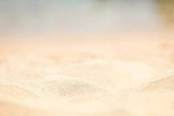 Élégamment beau coquillage corail sur fond de sable sur mer — Photo