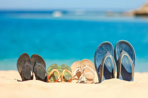 Elegantes zapatillas hermosas en la arena sobre el fondo del mar —  Fotos de Stock