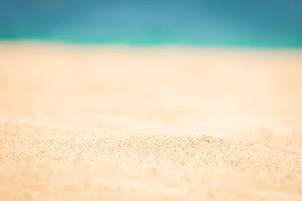 Elegantemente hermosa concha de coral sobre fondo de arena en el mar — Foto de Stock