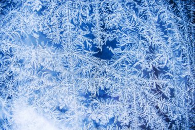 cam arka plan üzerinde don