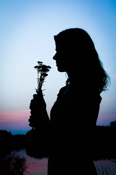 Gelukkig meisje met een boeket silhouet op de natuur in het Park geweldig — Stockfoto