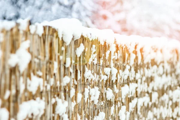 Смелый забор зимой на природе на фоне парка — стоковое фото