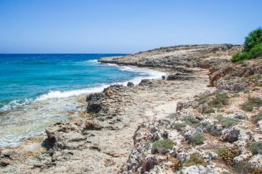 Arka planda dalgalar olan güzel bir sahil.