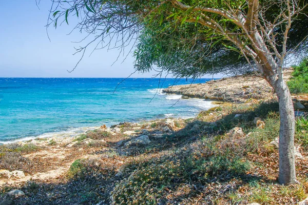 Beautiful beach with waves in the nature of the background — Stock Photo, Image