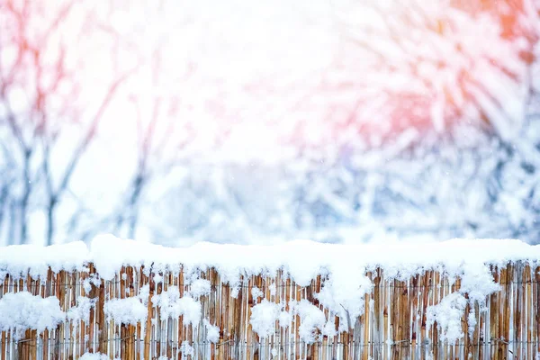 Bold fence in winter on nature in the park background — Stock Photo, Image