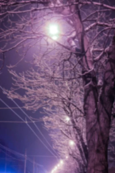 Árboles cerca de la carretera en la noche de invierno en la naturaleza — Foto de Stock