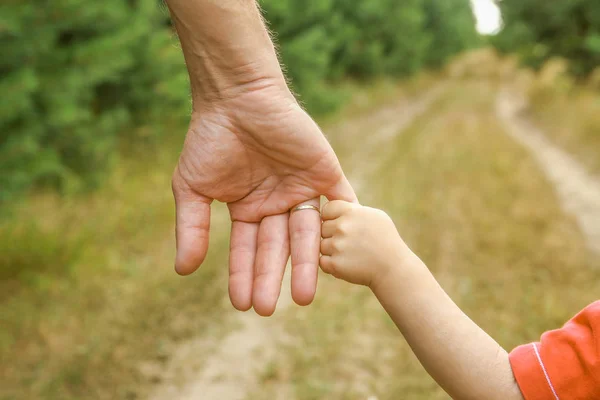 Las manos elegantes de un padre y un niño en la naturaleza en un parque —  Fotos de Stock