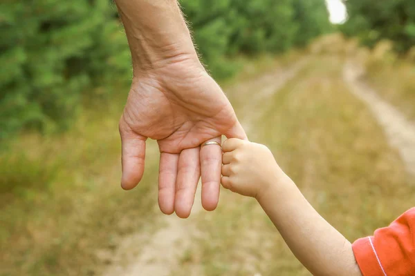 Mani eleganti di un genitore e un bambino nella natura in un parco indietro — Foto Stock