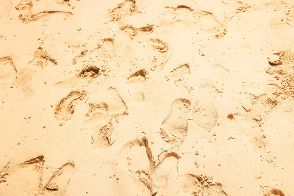 Mooie sporen met voeten op zee natuur achtergrond — Stockfoto