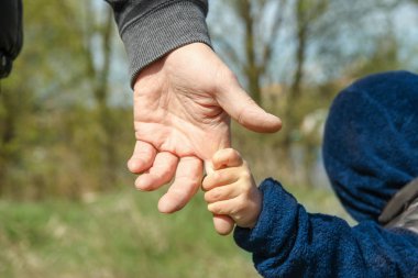 Bir parkta doğada bir ebeveyn ve çocuğun şık elleri geri