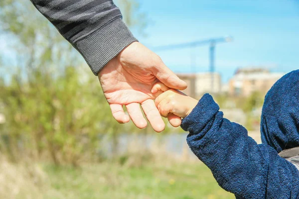 Stylish hands of a parent and child in the nature in a park back — Stock Photo, Image