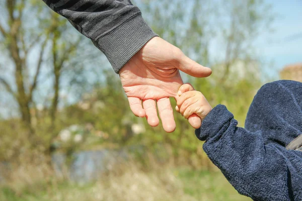 Mani eleganti di un genitore e un bambino nella natura in un parco indietro — Foto Stock