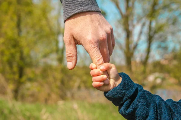 Stilvolle Hände eines Elternteils und eines Kindes in der Natur im Park — Stockfoto