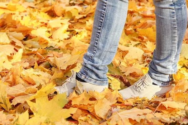 Füße auf dem Hintergrund von Blättern im Herbst auf einem Hintergrund von th — Stockfoto