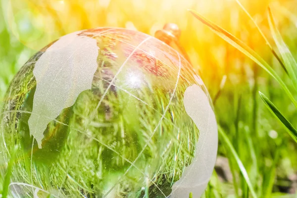 Mooi stijlvol glas land op het gras in een park op de Natur — Stockfoto