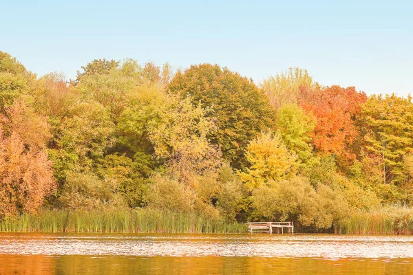 美丽的秋天背景在公园的自然 — 图库照片