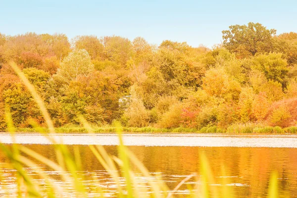 Красивый осенний фон в парке на природе — стоковое фото