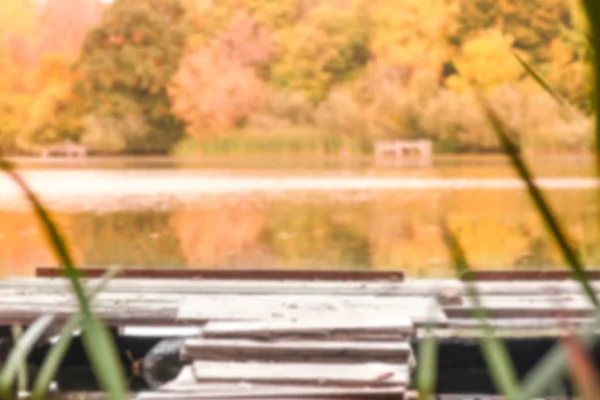 Beautiful bridge pier on the shore in the nature park — Stock Photo, Image