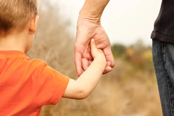 Красивые руки счастливого ребенка и родителя в природном парке — стоковое фото