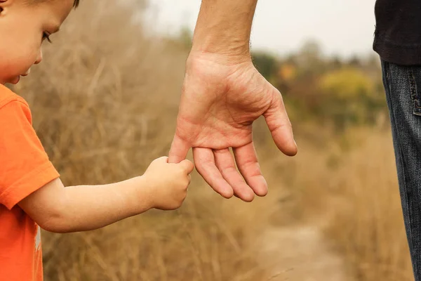 Όμορφα χέρια ενός ευτυχικού παιδιού και γονέα στο φυσικό πάρκο — Φωτογραφία Αρχείου