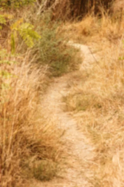 Beautiful walkway in a park on the nature — Stock Photo, Image