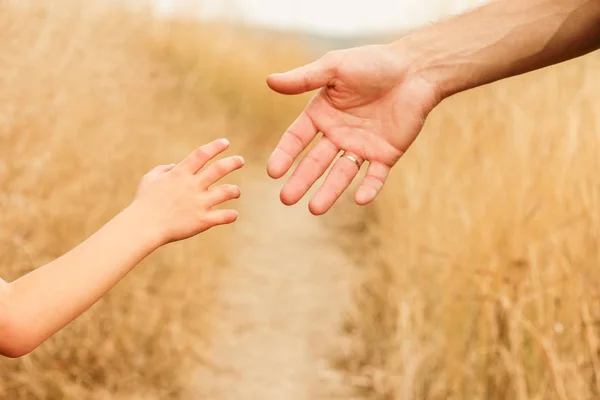 Belle mani di un bambino felice e genitore nel parco naturale — Foto Stock