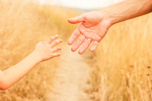 Hermosas manos de un niño feliz y padres en el parque natural —  Fotos de Stock