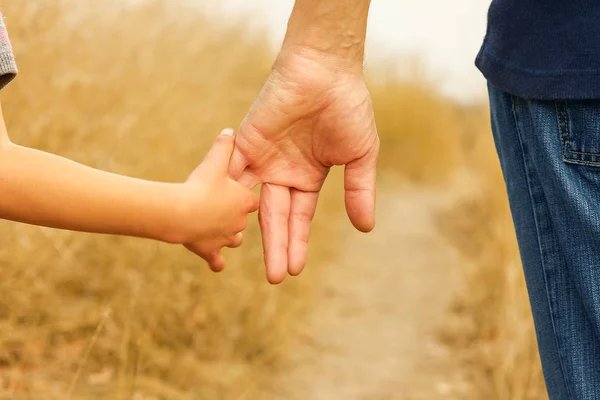 Piękne ręce szczęśliwego dziecka i rodzica w parku przyrodnim — Zdjęcie stockowe