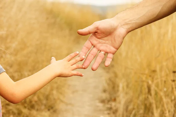 Piękne ręce szczęśliwego dziecka i rodzica w parku przyrodnim — Zdjęcie stockowe