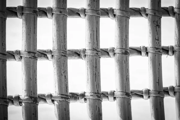 Elegantemente bello albero di maglia su sfondo natura — Foto Stock