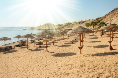 Doğanın arka planında güzel deniz kıyısı tatili