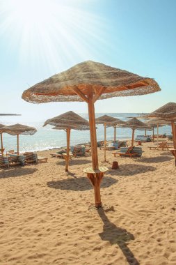 Doğanın arka planında güzel deniz kıyısı tatili