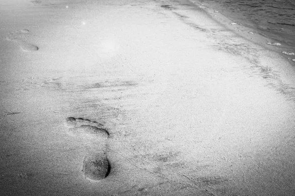 Beautiful footprints on the beach in nature by the sea — Stock Photo, Image