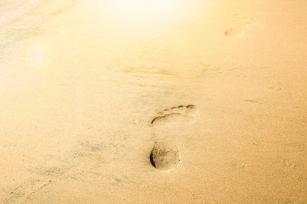 Mooie voetafdrukken op het strand in de natuur door de zee — Stockfoto