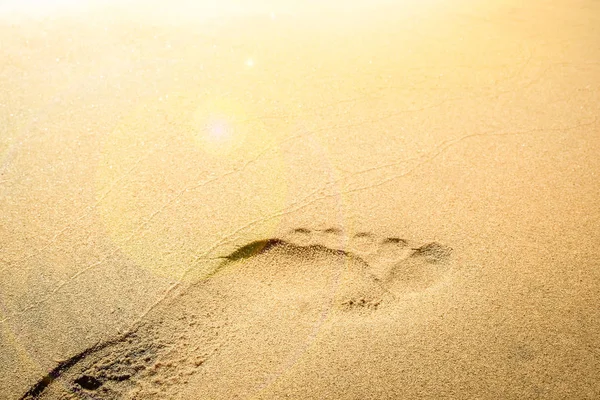 Pegadas bonitas na praia na natureza junto ao mar — Fotografia de Stock