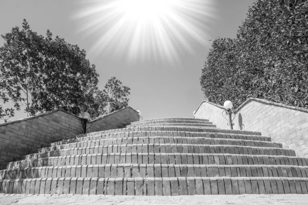 Belos passos no parque sobre o fundo do mar — Fotografia de Stock