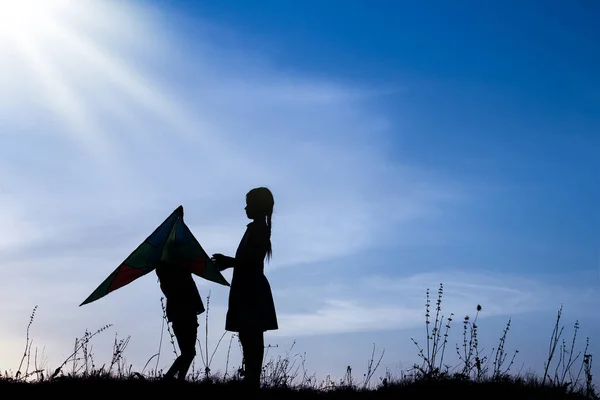 Gelukkige kinderen spelen op natuur zomer silhouet — Stockfoto