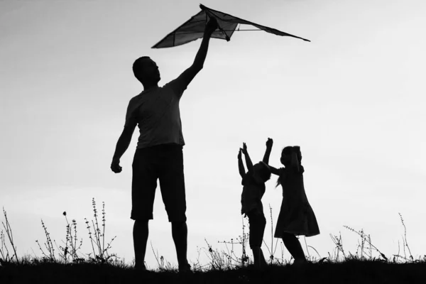 Genitore felice con bambini che giocano sulla silhouette estiva della natura — Foto Stock