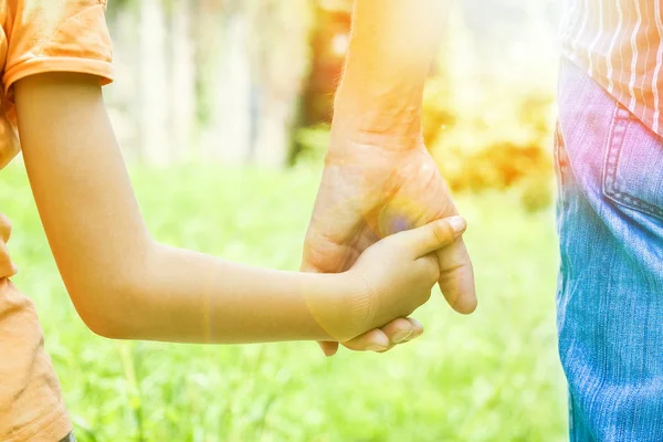 Hermosas manos de un niño y un padre en un parque en la naturaleza —  Fotos de Stock