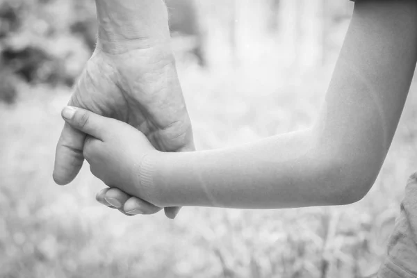 Krásné ruce dítěte a rodiče v přírodním parku — Stock fotografie