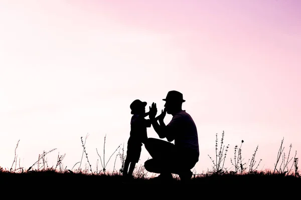Šťastný rodič s dětmi hraje na přírodě letní siluetu — Stock fotografie