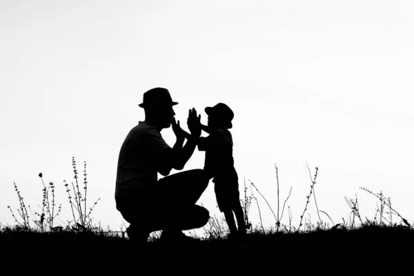 Šťastný rodič s dětmi hraje na přírodě letní siluetu — Stock fotografie