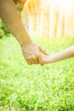 doğada bir parkta bir çocuk ve bir ebeveynin güzel eller