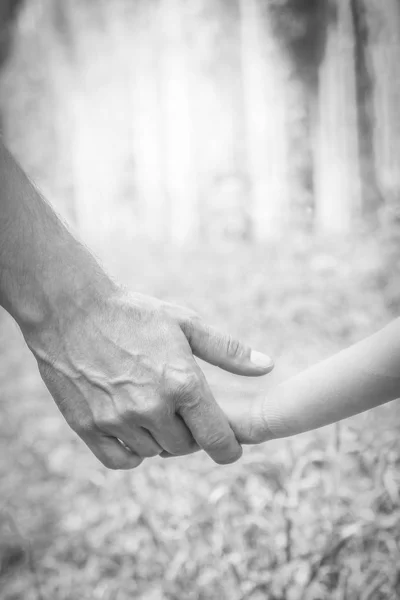 Vackra händer med ett barn och en förälder i en Park i naturen — Stockfoto