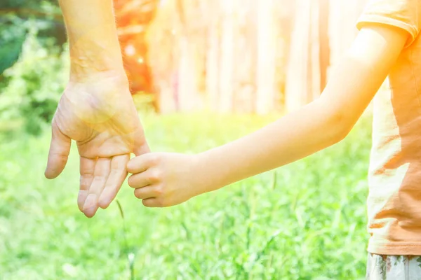 Belle mani di un bambino e un genitore in un parco nella natura — Foto Stock