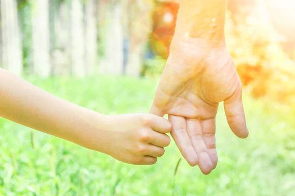 Mooie handen van een kind en een ouder in een park in de natuur — Stockfoto