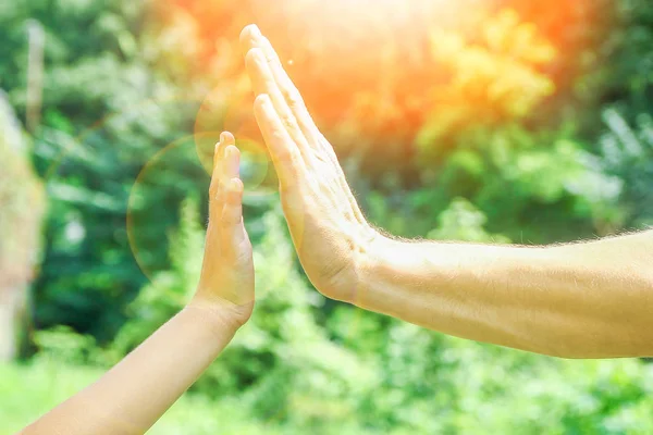 Belles mains d'un enfant et d'un parent dans un parc dans la nature — Photo